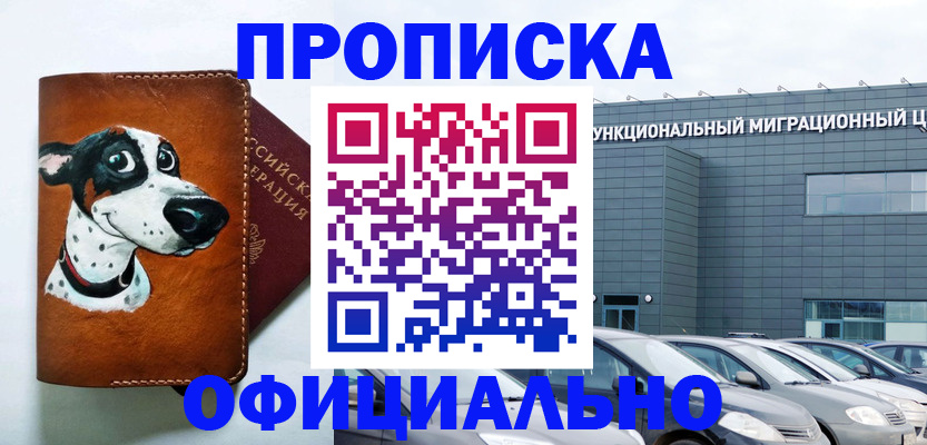 временная прописка в Купино